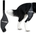 canine-knee-brace-right-left-neoprene-support-sizes-mini-to-xxl-ortoprime-uk