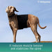 canine-thermal-back-support-belt-for-dogs-back-on-track-s-m-l-ortoprime-uk
