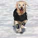 canine-wrist-brace-for-muscle-rehabilitation-xxs-xs-s-m-l-xl-ortoprime-uk