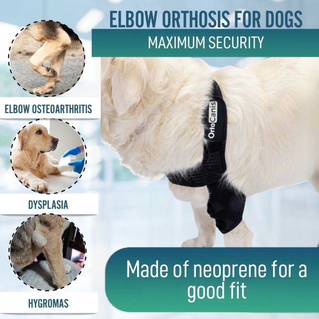 dog-elbow-orthosis-orthopedic-support-for-rehabilitation-sizes-xs-s-m-l-xl-ortoprime-uk