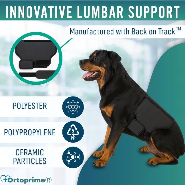dog-heat-therapy-back-support-wrap-s-m-l-ortoprime-uk