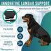 dog-heat-therapy-back-support-wrap-s-m-l-ortoprime-uk