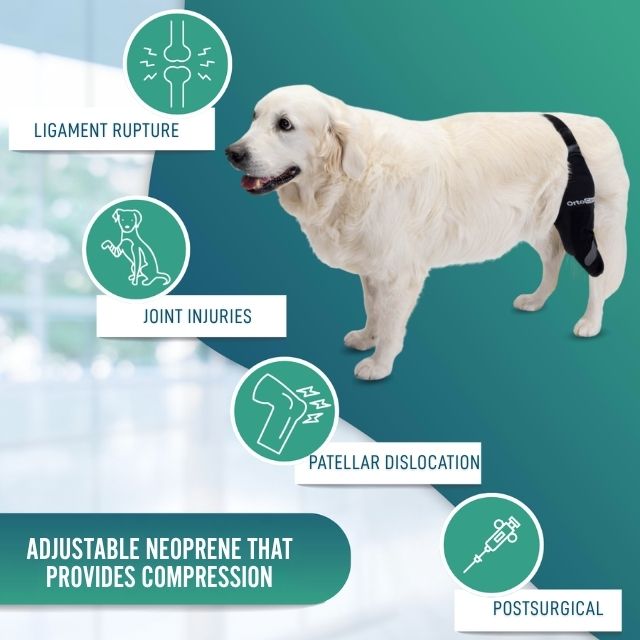 dog-knee-orthosis-for-stabilization-right-left-sizes-mini-xxxs-xxs-xs-s-m-l-xl-xxl-ortoprime-uk