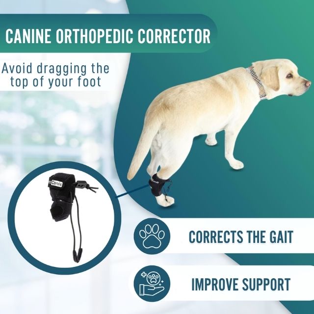 dog-knuckling-corrector-training-device-proprioceptive-sizes-xxs-to-l-ortoprime-uk