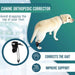 dog-knuckling-corrector-training-device-proprioceptive-sizes-xxs-to-l-ortoprime-uk