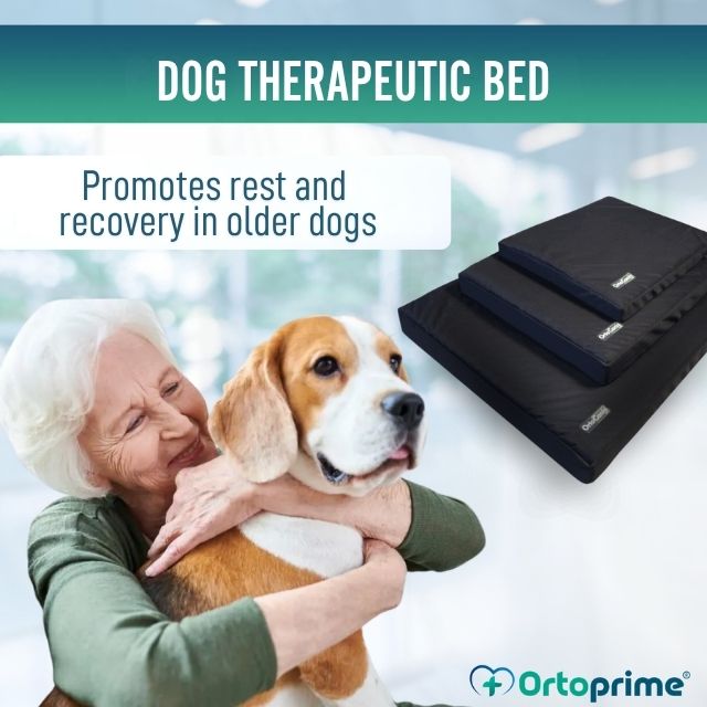 dog-memory-foam-bed-with-removable-cover-s-50x60x6cm-m-80x60x9cm-l-100x80x11cm-xl-120x100x12cm-ortoprime-uk