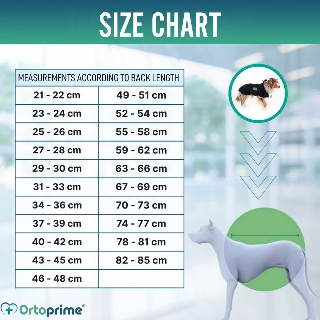 dog-waterproof-coat-with-thermal-insulation-back-on-track-sizes-21-22cm-to-82-85cm-ortoprime-uk