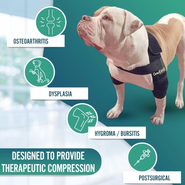 durable-dog-elbow-orthosis-for-rehabilitation-and-comfort-xs-s-m-l-xl-ortoprime-uk