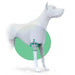 durable-elbow-brace-for-dogs-right-left-with-velcro-straps-xs-s-m-l-xl-ortoprime-uk