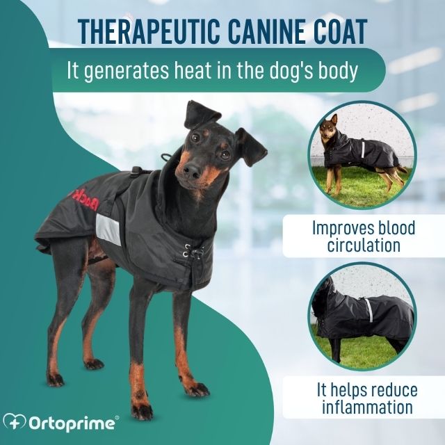 durable-waterproof-dog-coat-thermal-protection-back-on-track-21cm-to-85cm-ortoprime-uk