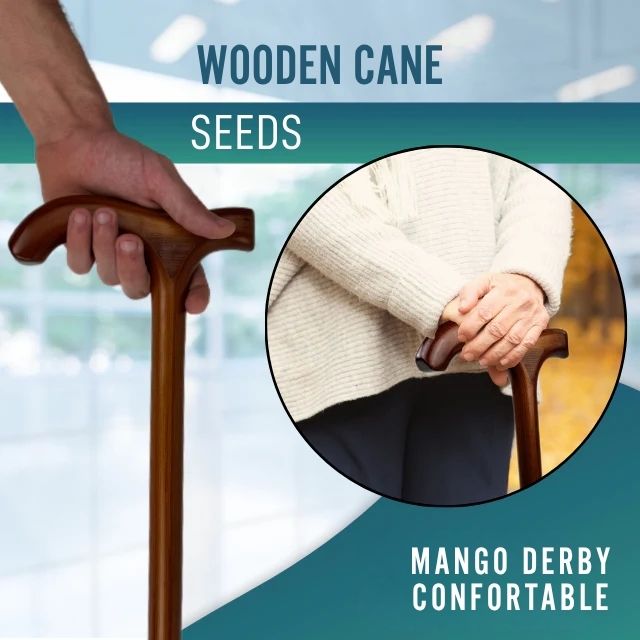 elegant-derby-handle-walking-stick-for-elderly-ortoprime-uk