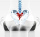 ergonomic-memory-foam-cushion-for-coccyx-support-ortoprime-uk