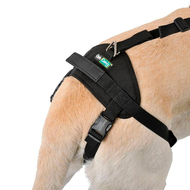 full-body-dog-lift-harness-for-mobility-aid-s-36-46cm-xxl-110-120cm-ortoprime-uk
