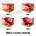 hand-relief-protection-mitts-ortoprime-uk