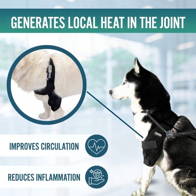 lightweight-orthopedic-dog-elbow-brace-for-recovery-sizes-xs-to-xl-ortoprime-uk