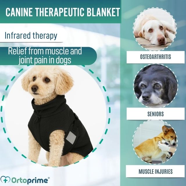 lightweight-therapeutic-dog-cover-back-on-track-sizes-27-28cm-to-82-85cm-ortoprime-uk