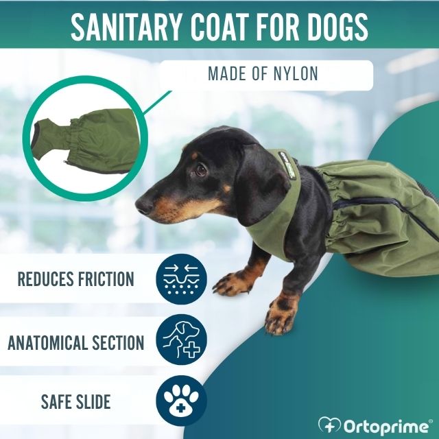 lightweight-waterproof-dog-coat-for-protection-and-warmth-sizes-xxs-xs-xs-s-s-m-l-ortoprime-uk