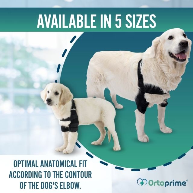 medical-dog-elbow-support-orthosis-adjustable-sizes-xs-s-m-l-xl-ortoprime-uk