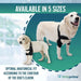 medical-dog-elbow-support-orthosis-adjustable-sizes-xs-s-m-l-xl-ortoprime-uk