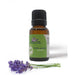 natural-lavender-oil-for-skin-repair-ortoprime-uk