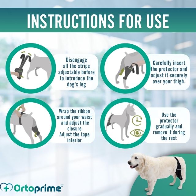 neoprene-knee-brace-for-dogs-right-left-rehabilitation-mini-xxxs-xxs-xs-s-m-l-xl-xxl-ortoprime-uk