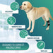 orthopedic-canine-proprioceptive-support-for-dogs-sizes-xxs-to-l-ortoprime-uk