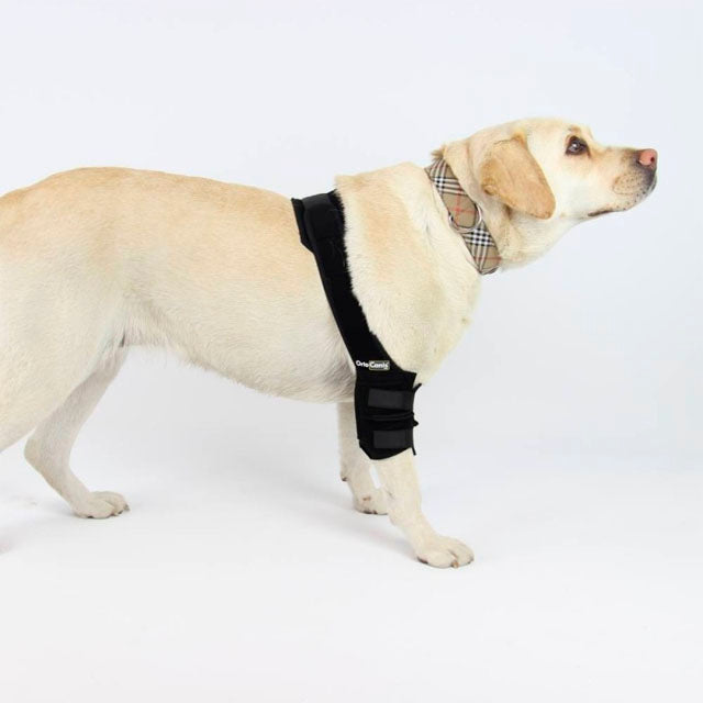 orthopedic-dog-elbow-brace-right-left-adjustable-velcro-bands-sizes-xs-to-xl-ortoprime-uk