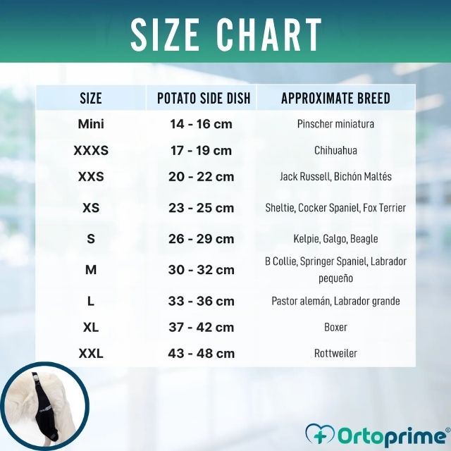 orthopedic-dog-knee-support-neoprene-right-left-mini-xxxs-xxs-xs-s-m-l-xl-xxl-ortoprime-uk