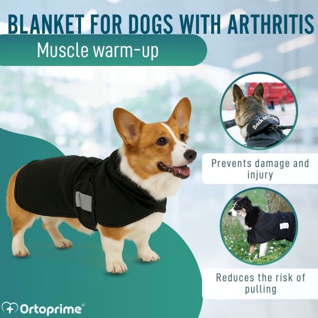 orthopedic-dog-recovery-blanket-back-on-track-thermal-fabric-sizes-27-to-85cm-ortoprime-uk