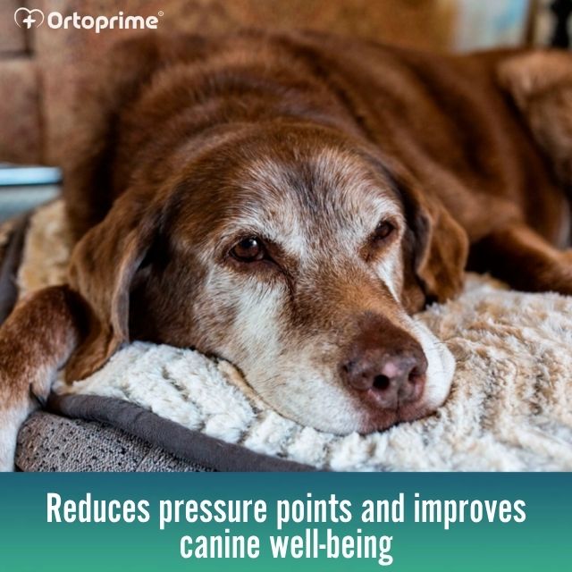 orthopedic-memory-foam-dog-mattress-with-cover-sizes-s-m-l-xl-ortoprime-uk
