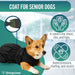 orthopedic-protective-dog-jacket-weather-resistant-sizes-xxs-xs-xs-s-s-m-l-ortoprime-uk