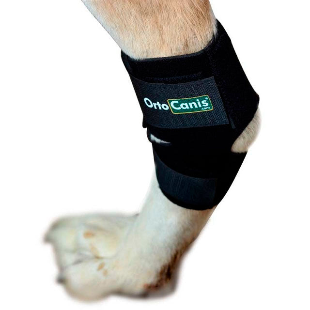 orthopedic-tarsal-support-for-dogs-xxs-7-9cm-to-xl-19cm-ortoprime-uk