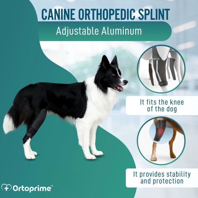 pet-neoprene-knee-support-right-left-adjustable-brace-sizes-mini-to-xxl-ortoprime-uk