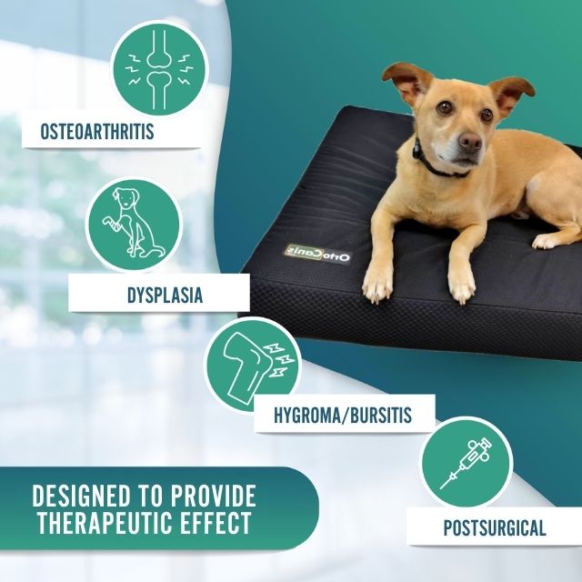 pet-orthopedic-bed-memory-foam-cover-size-s-m-l-xl-ortoprime-uk