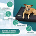 pet-orthopedic-bed-memory-foam-cover-size-s-m-l-xl-ortoprime-uk