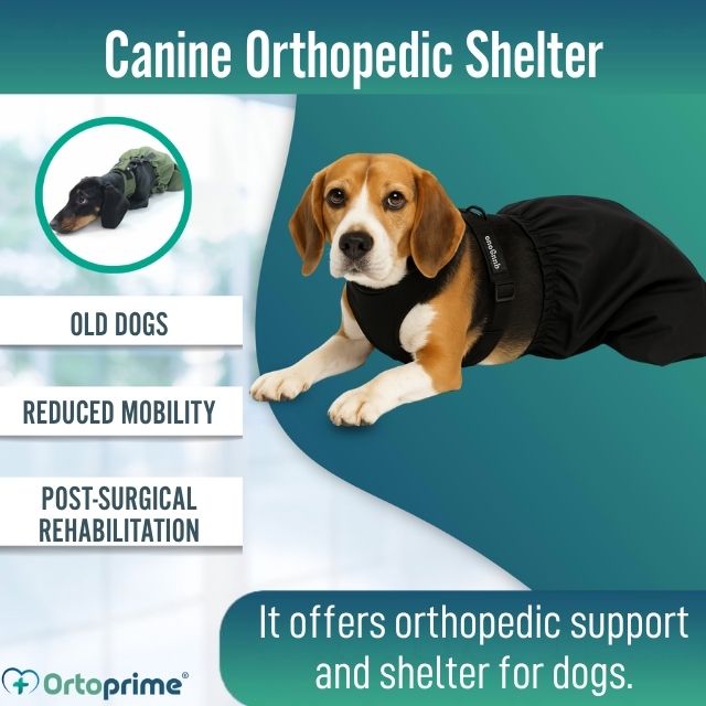 pet-protective-jacket-wind-and-rain-resistant-sizes-xxs-xs-xs-s-s-m-l-ortoprime-uk