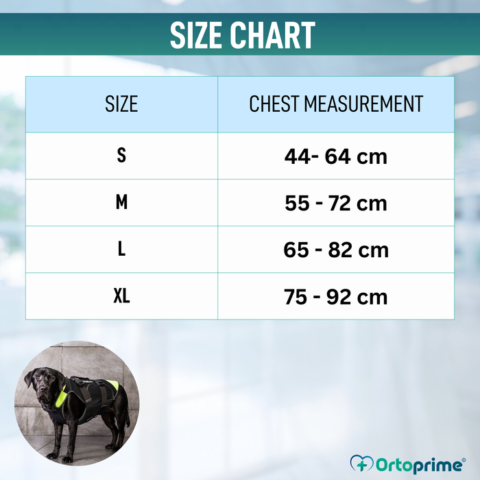 3-in-1 Multifunctional Dog Harness in Neoprene | 4 Sizes