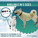 proprioceptive-corrector-for-dogs-with-knuckling-orthopedic-support-sizes-xxs-xs-s-m-l-ortoprime-uk