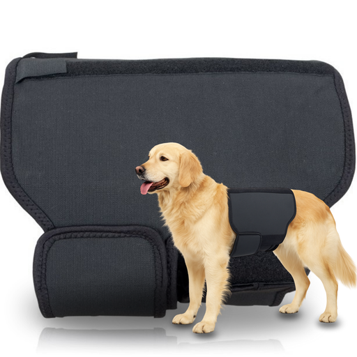 therapeutic-dog-lumbar-support-belt-back-on-track-s-m-l-ortoprime-uk