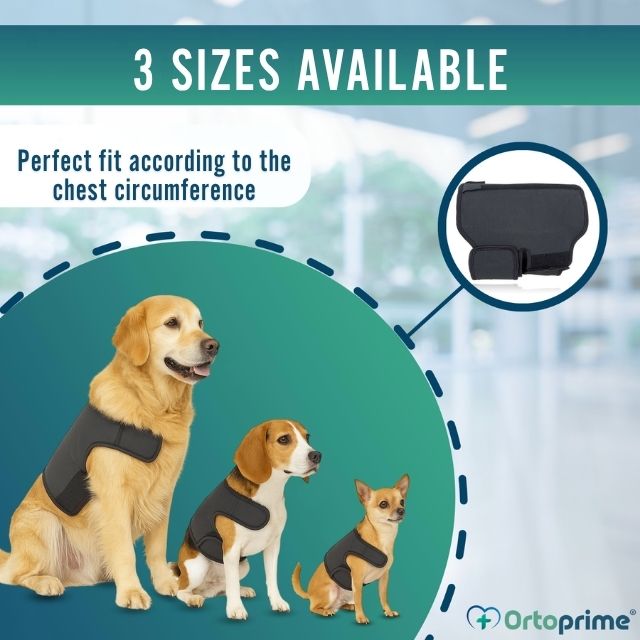 thermal-back-brace-for-dogs-muscle-relief-sizes-s-m-l-ortoprime-uk