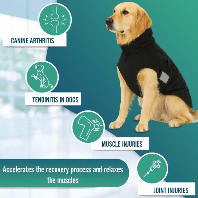 thermal-therapy-dog-blanket-with-back-on-track-fabric-all-sizes-27-28cm-82-85cm-ortoprime-uk