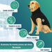 thermal-therapy-dog-blanket-with-back-on-track-fabric-all-sizes-27-28cm-82-85cm-ortoprime-uk