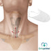 tracheostomy-feeding-bib-hospital-use-ortoprime-uk