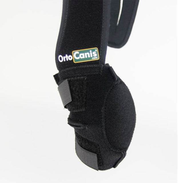 veterinary-canine-elbow-support-for-rehabilitation-right-left-xs-s-m-l-xl-ortoprime-uk