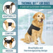 veterinary-dog-back-support-thermal-faja-for-rehabilitation-s-m-l-ortoprime-uk