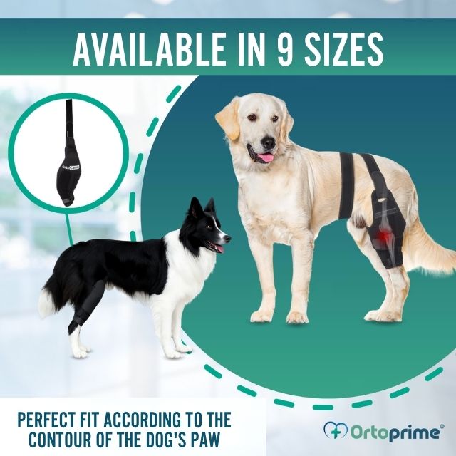 veterinary-dog-knee-immobilizer-for-injury-recovery-right-left-all-sizes-mini-to-xxl-ortoprime-uk