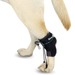 veterinary-dog-knuckling-corrector-proprioceptive-device-sizes-xxs-xs-s-m-l-ortoprime-uk