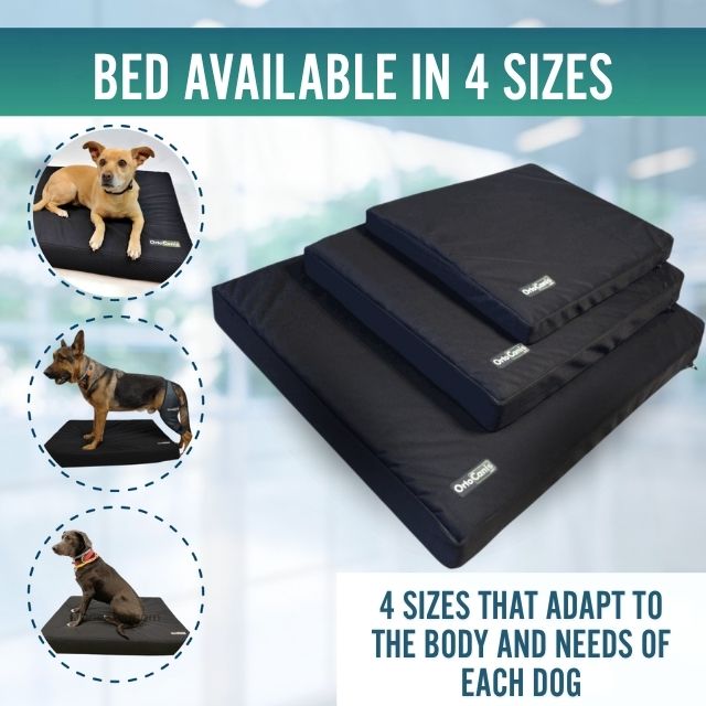 viscoelastic-dog-bed-with-cover-memory-foam-size-s-50x60x6cm-m-80x60x9cm-l-100x80x11cm-xl-120x100x12cm-ortoprime-uk