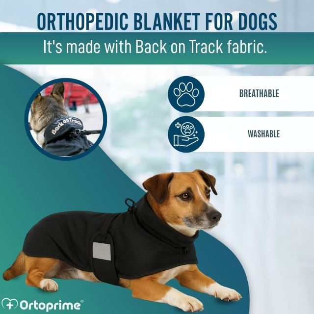 warming-therapeutic-dog-blanket-back-on-track-design-sizes-27-28cm-to-82-85cm-ortoprime-uk