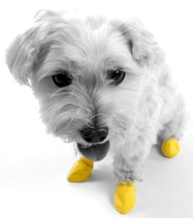 waterproof-rubber-dog-boots-reusable-non-slip-colours-black-green-yellow-orange-brown-trim-red-blue-sizes-mini-2-54cm-xxs-3-81cm-xs-5-08cm-s-6-35cm-m-7-67cm-l-10-16cm-xl-over-10-16cm-ortoprime-uk